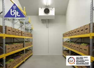 Cold Storage: Teknologi Penting dalam Industri Modern